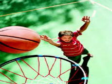 Basket